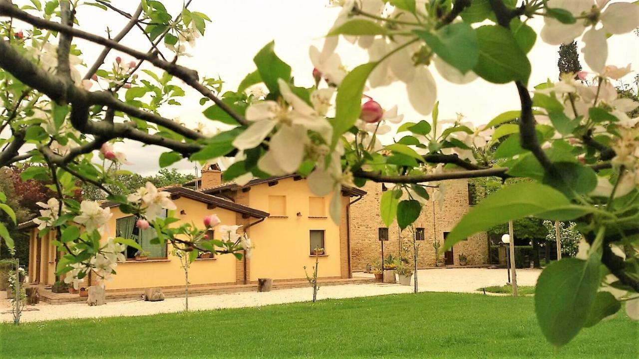 Agriturismo Il Podere Ξενοδοχείο Petrignano Εξωτερικό φωτογραφία