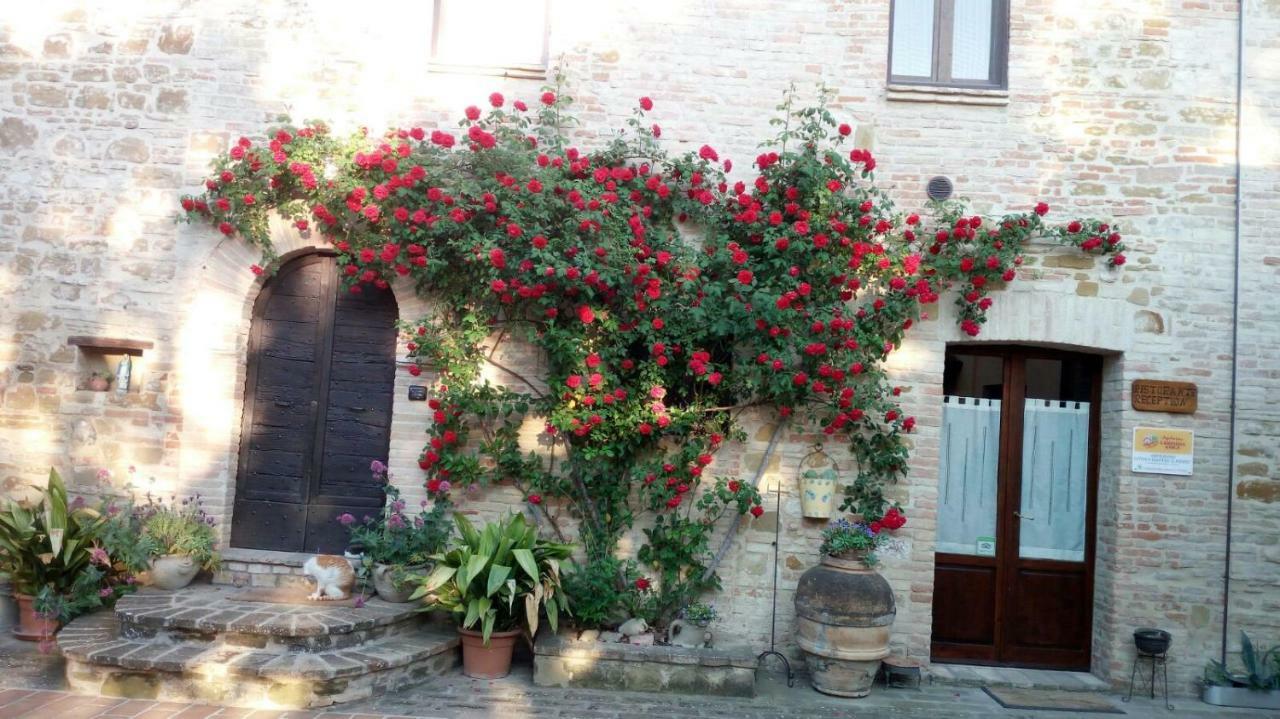 Agriturismo Il Podere Ξενοδοχείο Petrignano Εξωτερικό φωτογραφία
